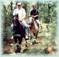 Horseriding in Barberton