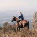 Horse Trail